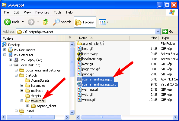 the necessary files in the root directory of iis