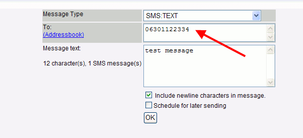 sending a test message in the sms gateway